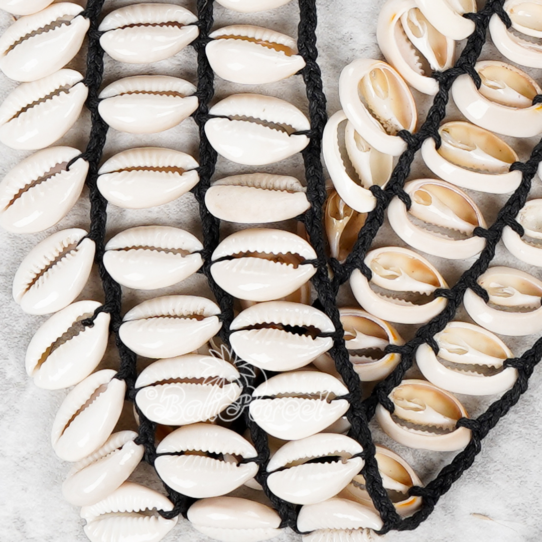 Cowrie Shell Belt 