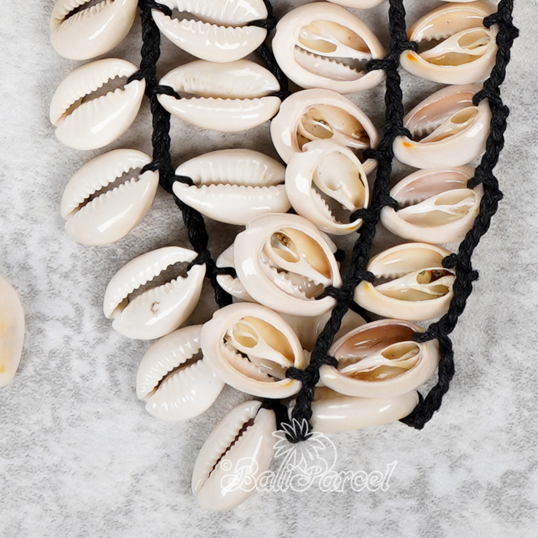 Cowrie Shell Belt