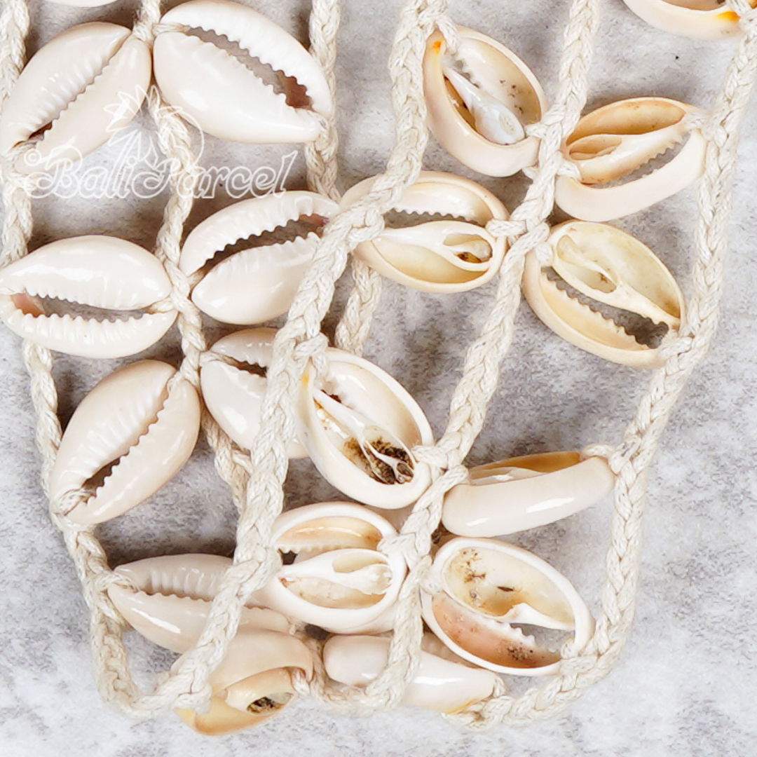 Cowrie Shell Belt
