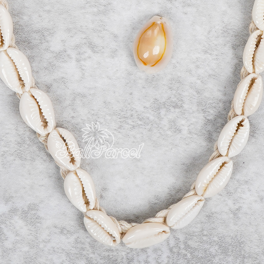 Cowrie Shell Belt