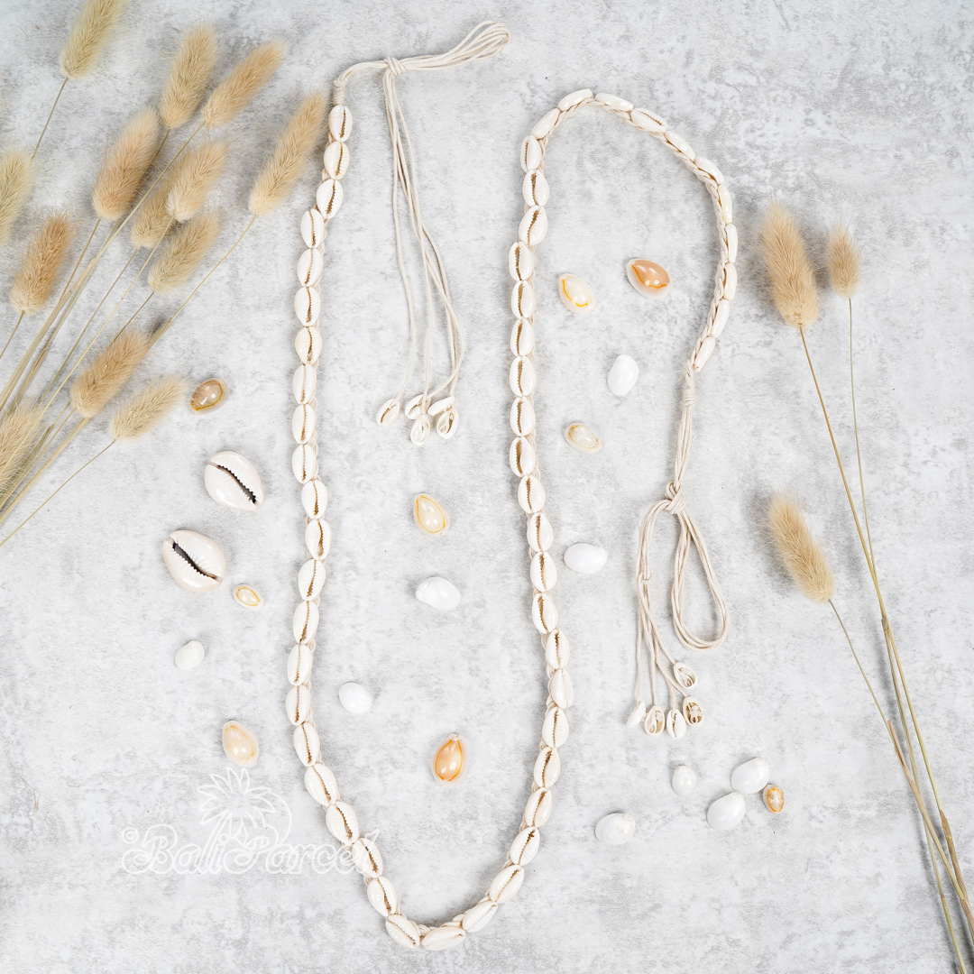 Cowrie Shell Belt