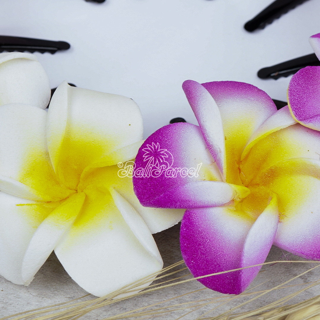 Hair Clip Plumeria