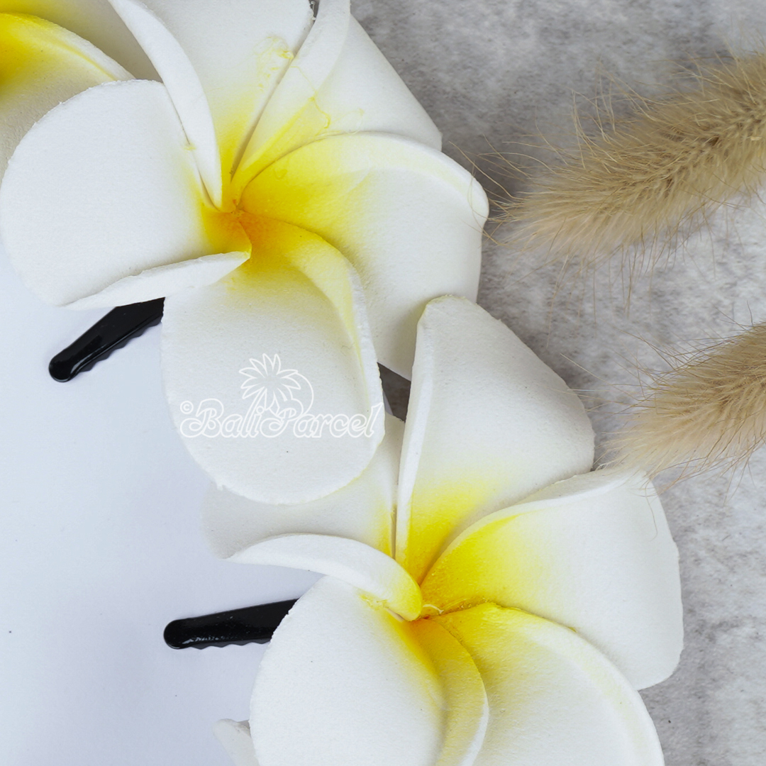 Hair Clip Plumeria