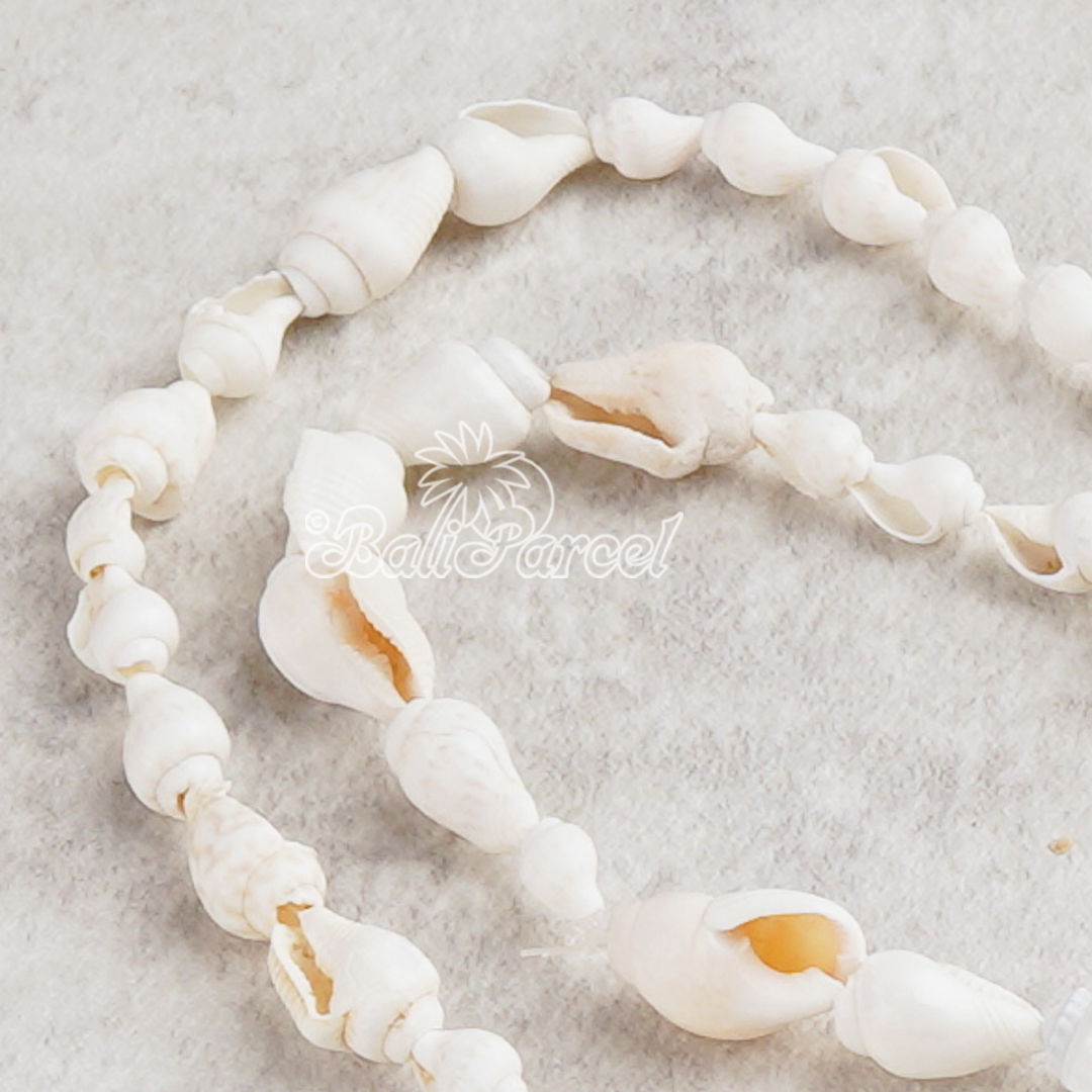 Small Shell Long Necklace