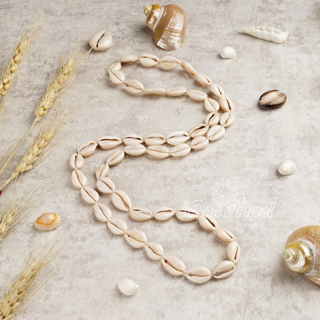 Cowrie Shell Long Necklace